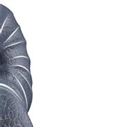 Amazon Inch Realistic Huge Silicone Dildo Diameter Thick Big Dildos With