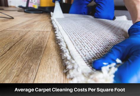 Average Professional Carpet Cleaning Costs (Updated for 2024)