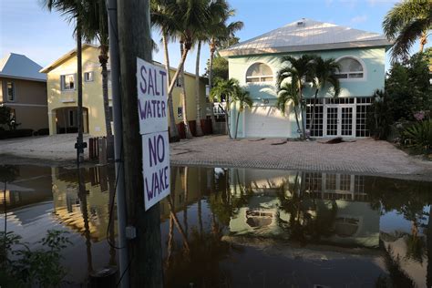 New Research Shows Rising Sea Levels Could Wipe Out Major Cities by
