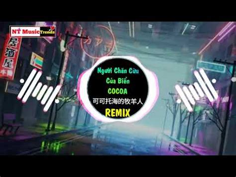 chinses DJ 王琪 可可托海的牧羊人 DJ抖音版 大海的牧羊人可可Remix Karma Hot Tiktok Douyin DJ YouTube Music