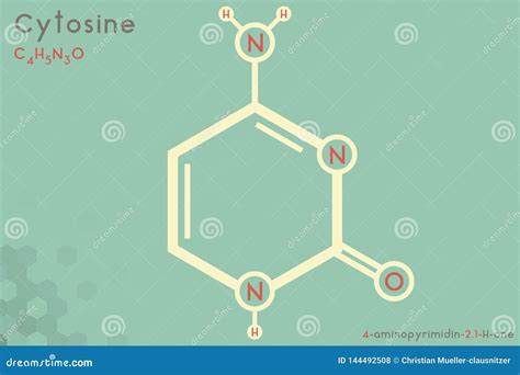 Infographic Of The Molecule Of Cytosine Stock Vector Illustration Of