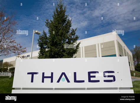Thales Logo