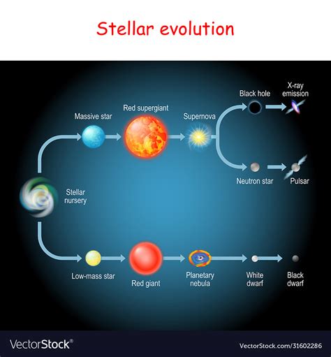 Evolution Of Stars Diagram