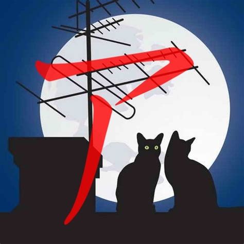 катакана | Quizlet