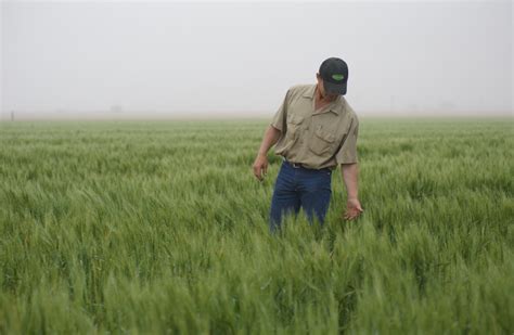 Redefine Patterns of “Masculinity” – Green Game Design