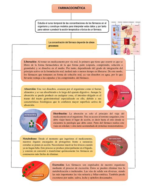 Farmacocinetica Mapa Asd Warning Tt Undefined Function