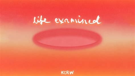 How our meritocratic society rewards wealth and sows division | KCRW