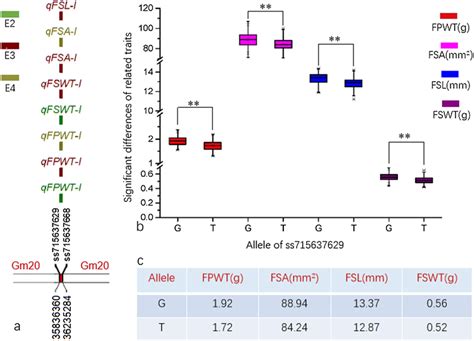 Verification Of Linkage Qtl On Chromosome Via The Allele Analysis A