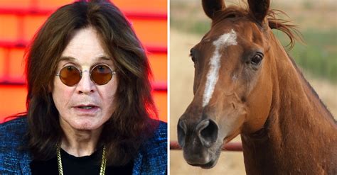 Ozzy Osbourne Reveals He Stopped Taking Acid After A Horse Told Him To