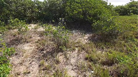 Getting Cock Sucked While Fucked Search XVIDEOS