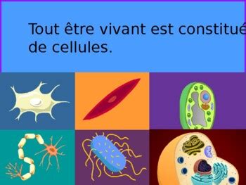 Boutique à la page Teaching Resources | Teachers Pay Teachers