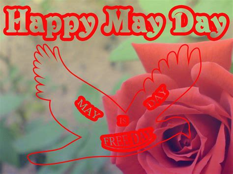The Greeting Card For You Happy May Day