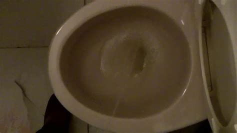 Free Hanging Cock Shemale Porn Videos XHamster