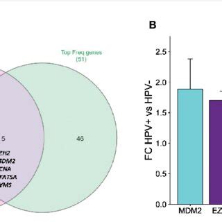 Advanced Histogram Of Go Biological Process Analysis In This Study