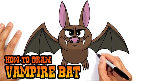 Cute Vampire Bat Drawings