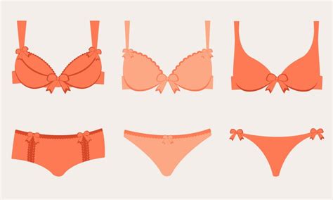 Lingerie Vector Images Over
