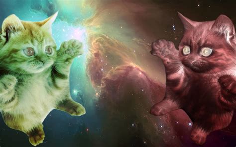 Space Kitty Wallpaper 77 Images