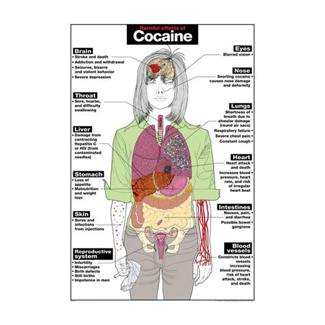 Cocaine Effects