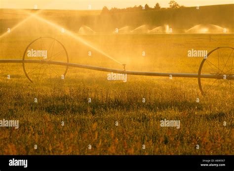 Watering The Wheat Fields Near Ritzville In Eastern Washington Stock