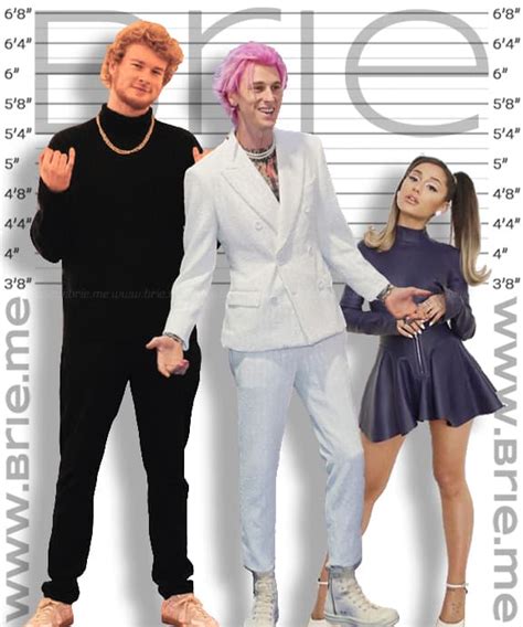 Machine Gun Kelly Height - Brie
