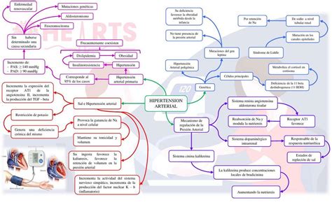 Esquema de Hipertensión Arterial LiquidOH uDocz