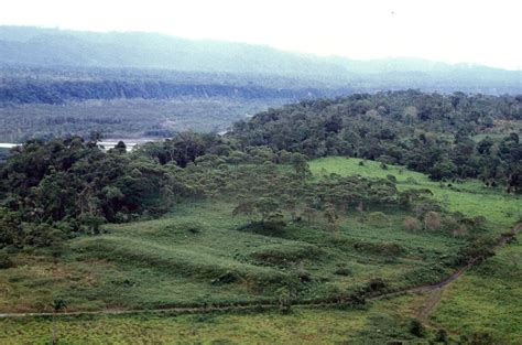 Laser Mapping Reveals Oldest Amazonian Cities Built 2500 Years Ago