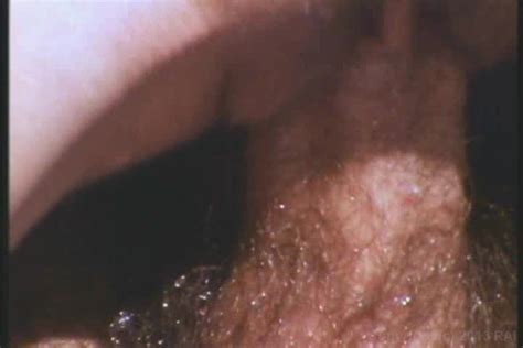 Adult Empire Award Winning Retailer Of Streaming Porn Videos On Demand Adult DVDs Sex Toys