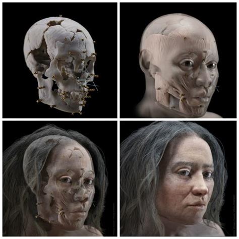 Nrken On Twitter Rt Nrken Facial Reconstruction Of A Neolithic