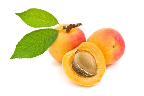 Abricot Dessert Des Abricots Confiture D Abricots Image Stock Image