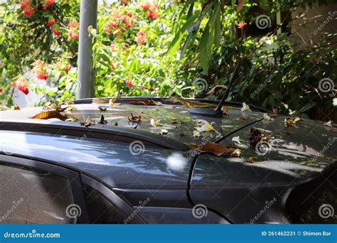 A Small Fragment Of A Car Body Stock Image Image Of Macro Stands