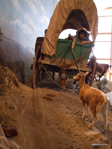 Pioneer Road Trips Montana A Travelers Library