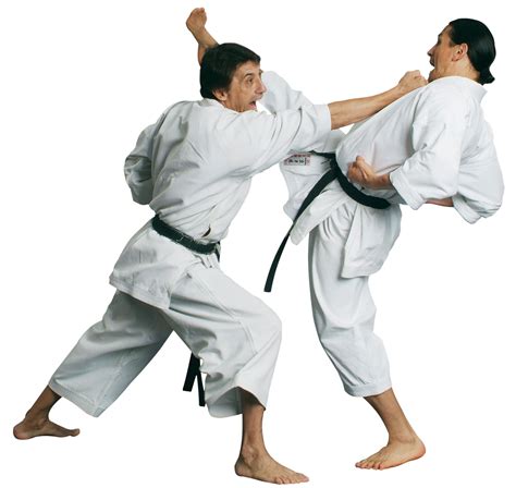 Karate Png Transparent Picture Png Mart