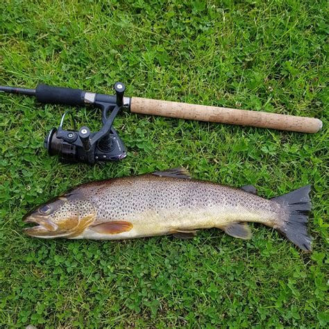 ᐅ River Clyde fishing reports🎣• Scotland, United Kingdom fishing