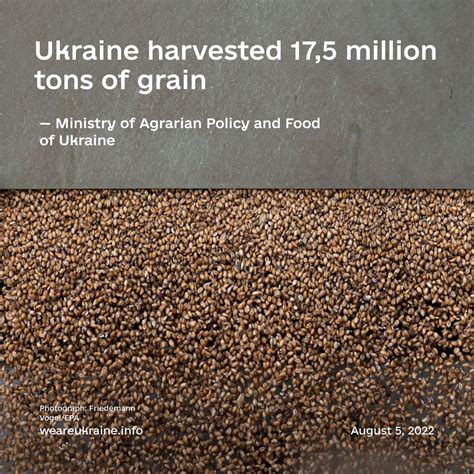 Ukraine Harvested Million Tons Of Grain We Are Ukraine