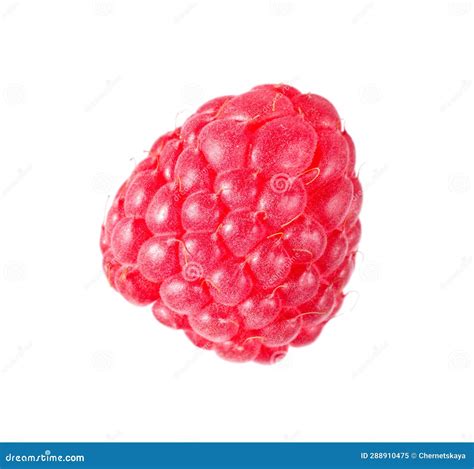 One Tasty Ripe Raspberry Isolated On White Stock Image Image Of