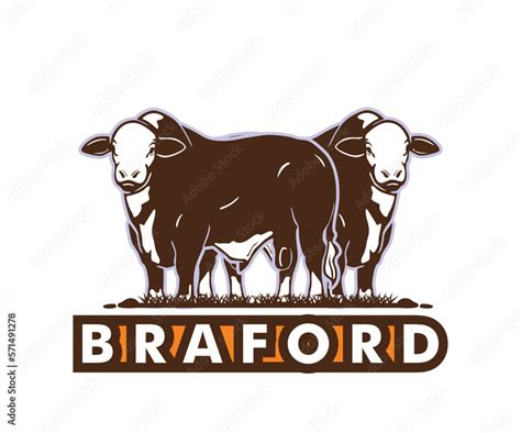 Braford Bull