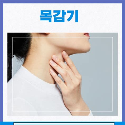 목감기 증상 코로나 목감기 차이 인후통 네이버 블로그