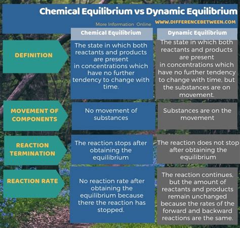 Difference Between Chemical Equilibrium and Dynamic Equilibrium | Compare the Difference Between ...