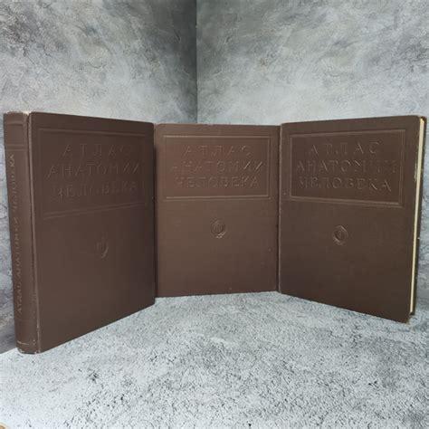 Атлас анатомии человека. Тома 1-3. Медгиз, 1946-1947 гг. | Воробьев ...