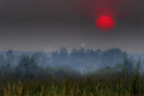 Red sun of Russia stock photo. Image of trees, forest - 3273670