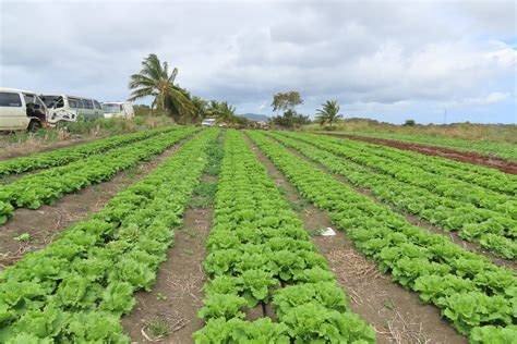 World Agriculture Day