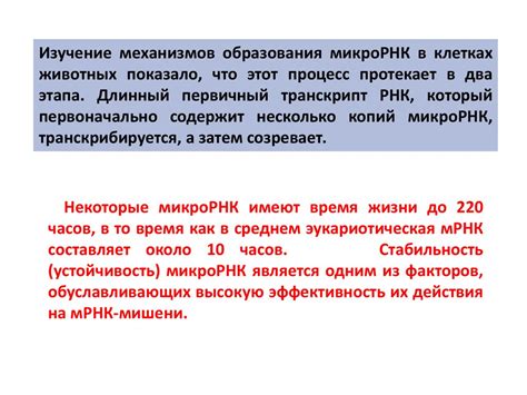 Механизм образования микро РНК в клетках - презентация онлайн