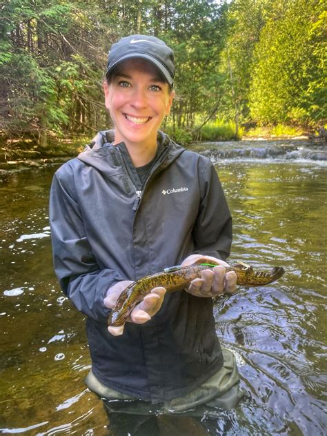 New Compound May Expand Sea Lamprey Control Great Lakes Echo