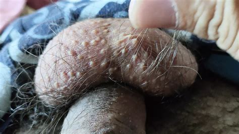 My Hairy Body And Dick Gay Amateur Amateur Porn Feat Nikoniko By Faphouse Xhamster