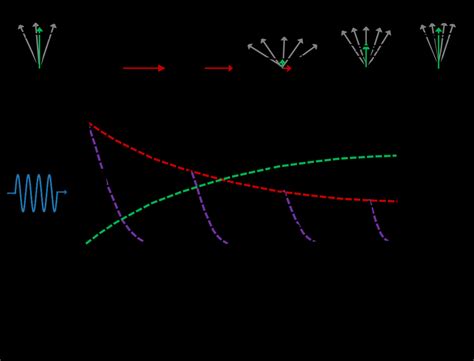 Illustration of the processes Free induction decay, T1 recovery, T2 ...