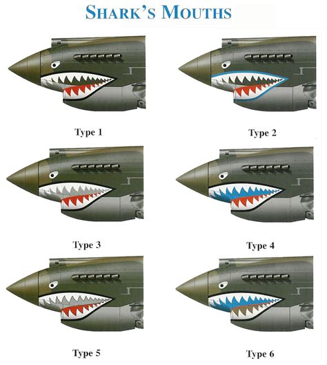 Flying Tiger Shark 2x59full Size Flying Tiger Shark Mouth Teeth Car