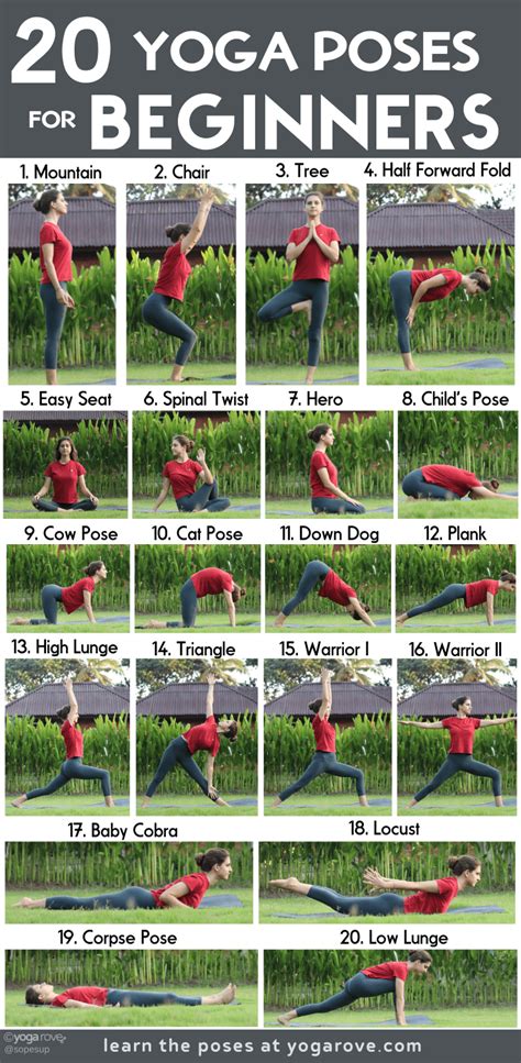 Yoga Poses For Beginners Chart Hot Yoga Posture & Bikram Asana Wall