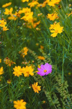 Spikezombie Leaked Nude Photos And Videos