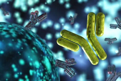 High-Resolution Separation of Intact Antibodies Using BioResolve RP mAb ...