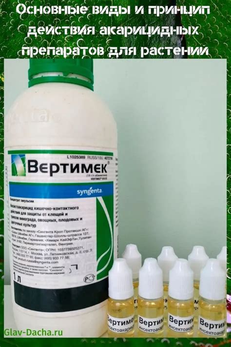 Основные виды и принцип действия акарицидных препаратов для растений ...